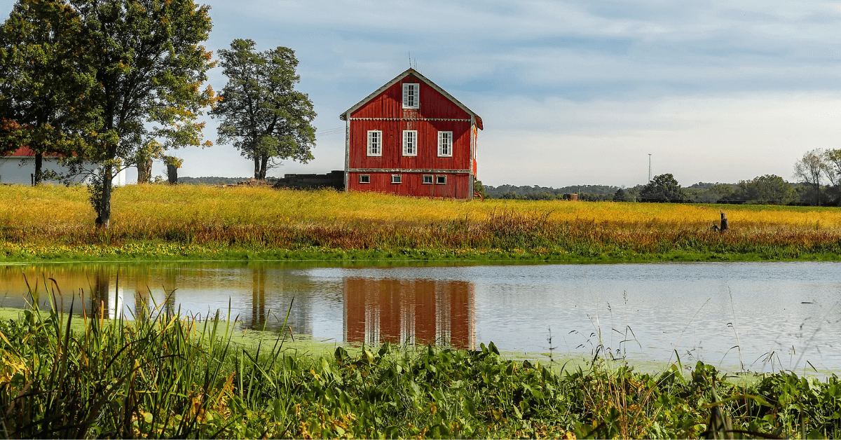 The Basic Steps of Building a Fishing Pond